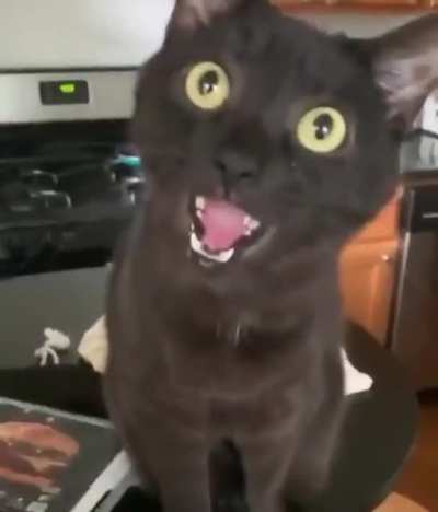 Где ты шлялся так долго?