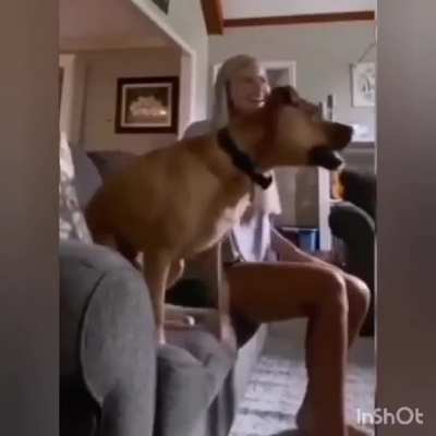 Futbol fan