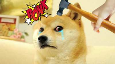 Discord bonked