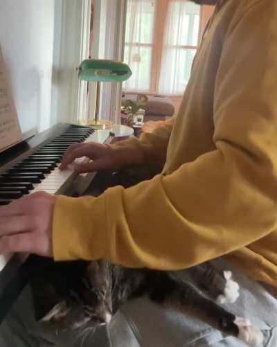 Air Biscuits while I play piano