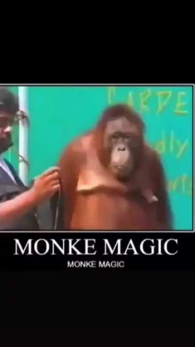 Monke magic