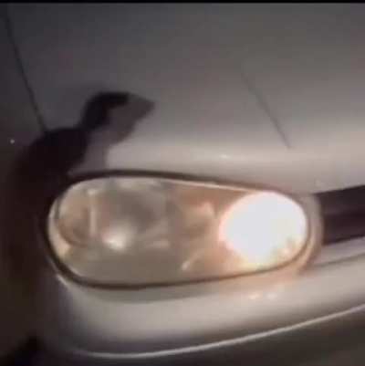 Golf 4