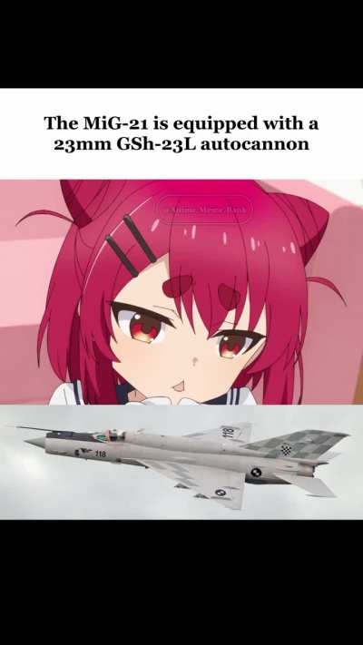 My bro sent me this