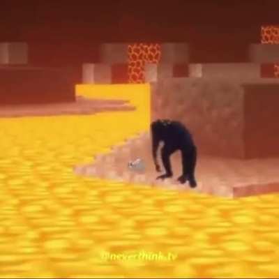 Monky