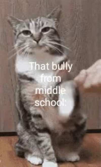 Shake hands, p****