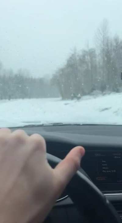 That&rsquo;s a ditch