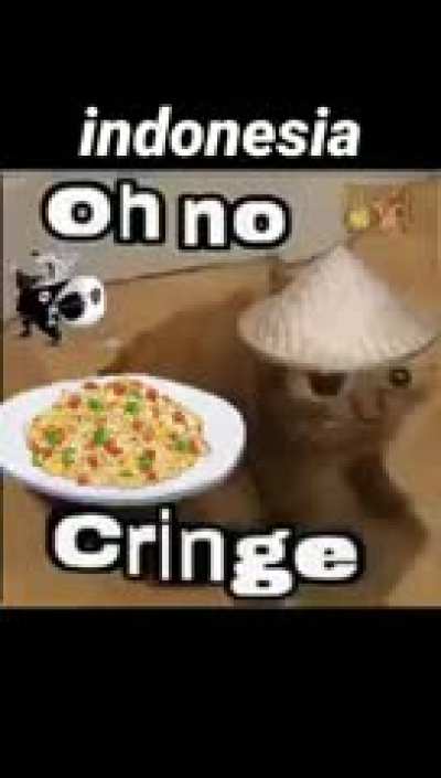 Idk if this has been posted here but this is the ultimate oh no cringe collection