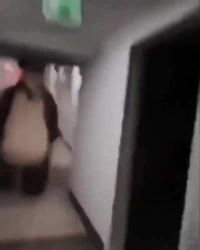 Cursed Masha &amp;amp; bear