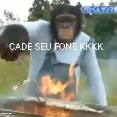 Bom dia web amigos