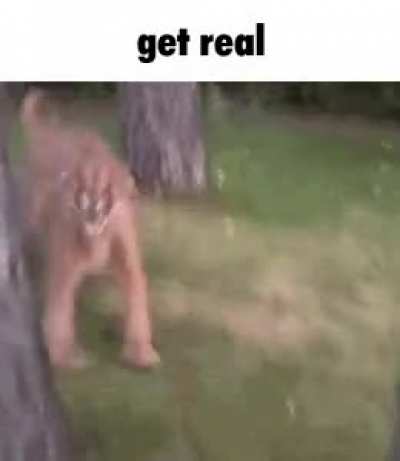 get real
