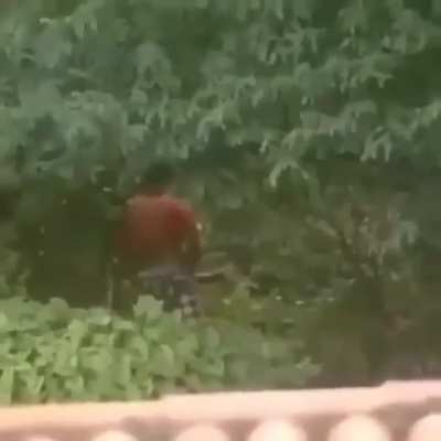 Um cavalo de 3 pernas?