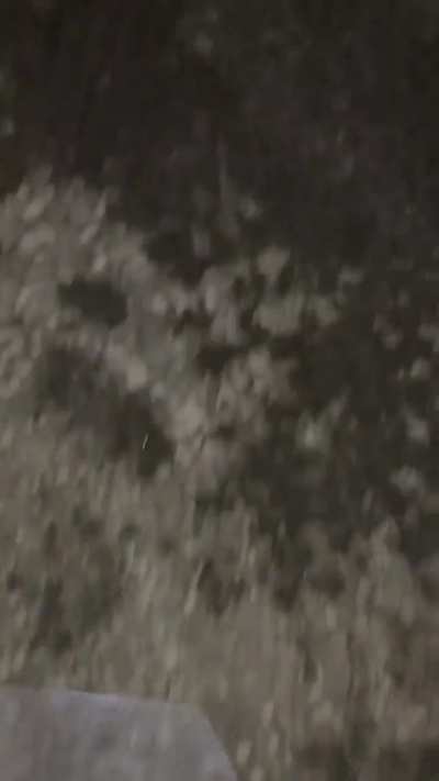 snail crushing