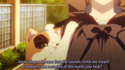 Talking cat [The Melancholy of Haruhi Suzumiya]