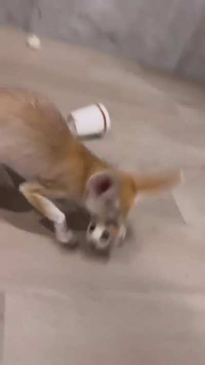 SIUUUUUUUUUU