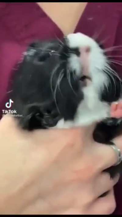 Ahhhhhh