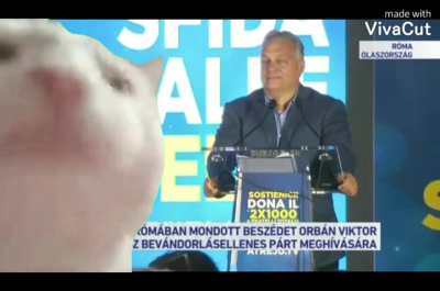 M&eacute;g 2019-es de hatalmas az &ouml;reg
