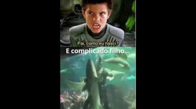 Pa-pa-papai?😳👉👈