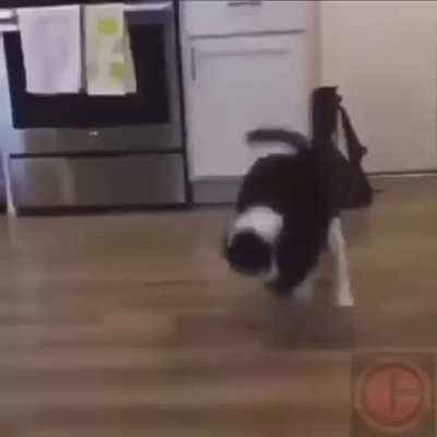 Ulan orospu &ccedil;ocukları ben geldim nasılsınız