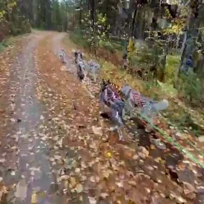 Training day