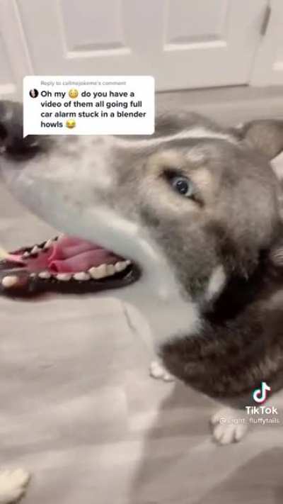 Husky alarms