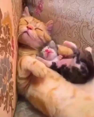Tocuh Tha Mom