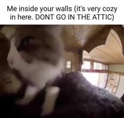 Seriously don&rsquo;t do it, I just figured out your Wifi password