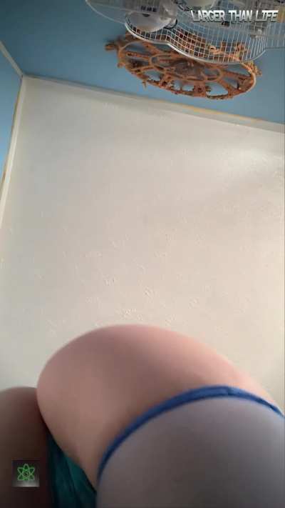 Would you worship Sugar’s giantess ass? 🤯