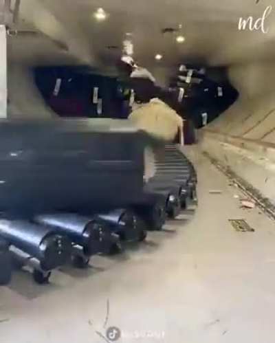 Loading luggage on a plane