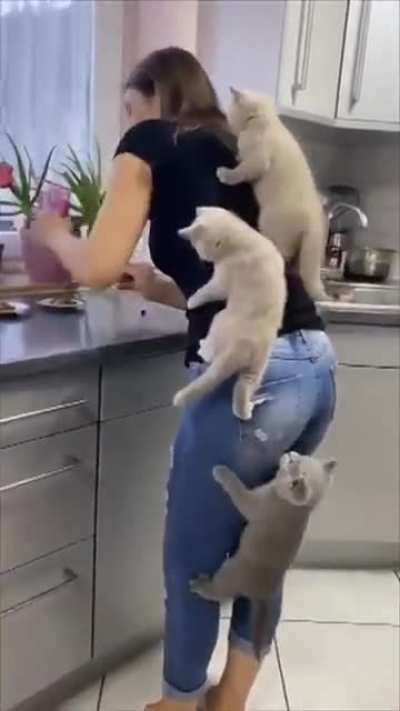"Mommy what you got there?"