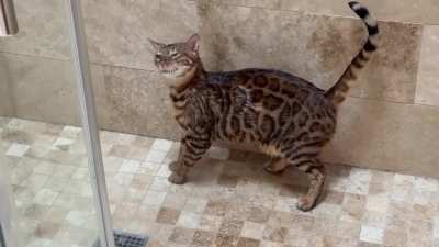 Amber loves her showers