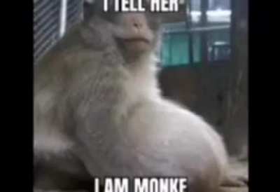 monke