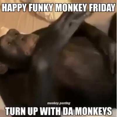 Happy Friday