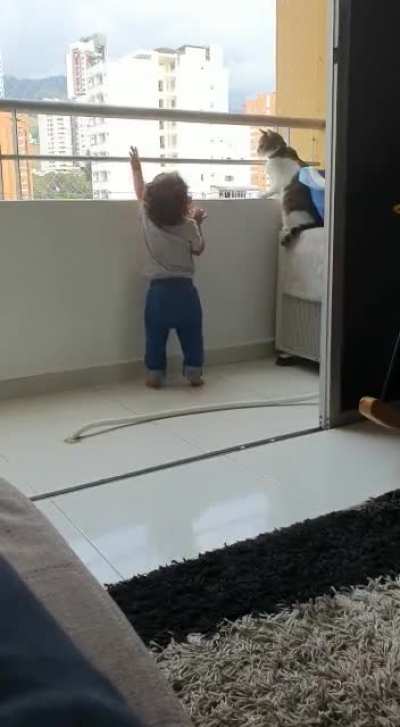 Cat’s smarter than the kid is