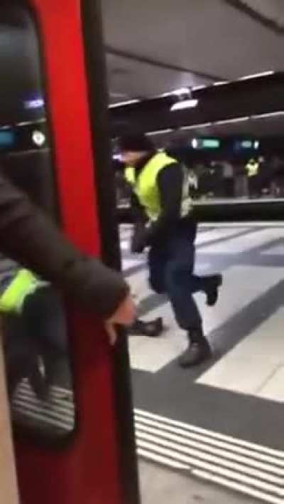 Man pulls knife on train passengers and gets tackled by police (Z&uuml;rich, Switzerland)