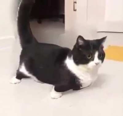 watch garett dance