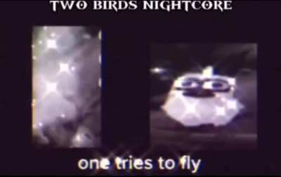 Bird.mp3