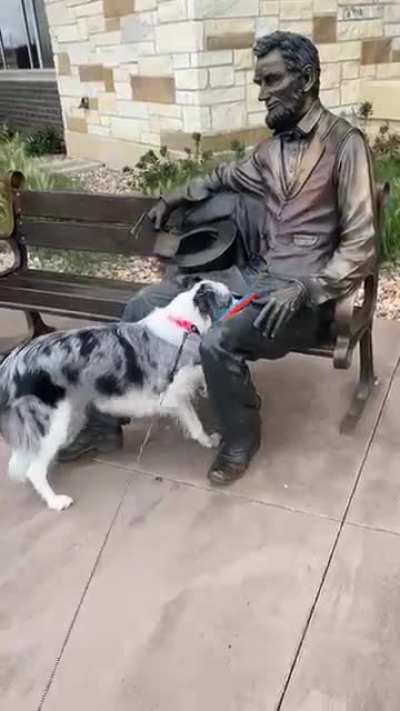 Давай Эйб, просто брось это ч&euml;ртово фрисби!