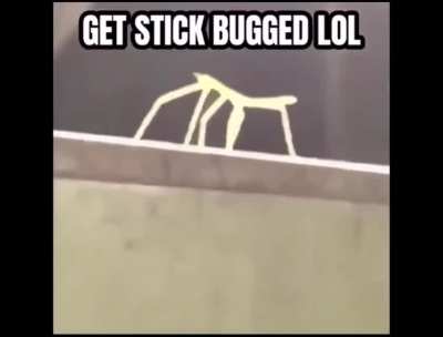 seems like there's a new bug in presage. screebs, smh
