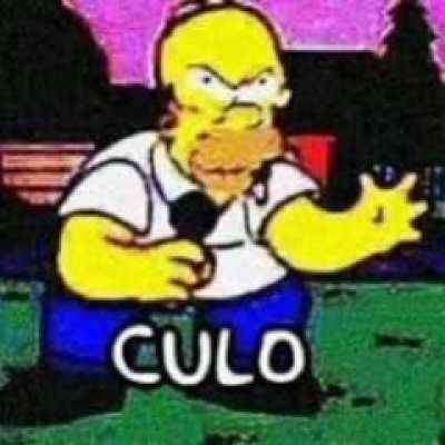 perd&oacute;n casi vanean a riczer por mi el baile del poto espero que me perdones y lo veas.pero al menos aparec&iacute; al final de su ultimo v&iacute;deo
