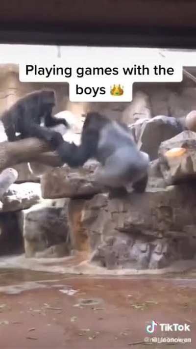 Men only have 4 moods🐒😳