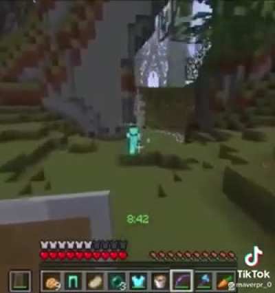 Xd