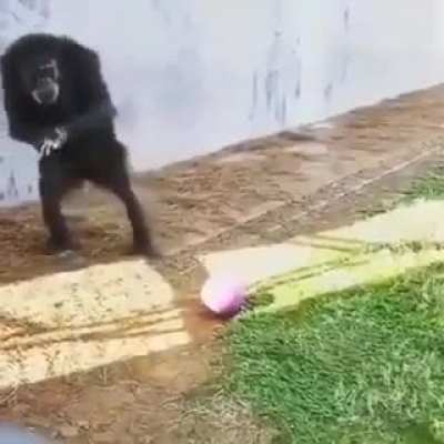 O novo Pel&eacute; ⚽