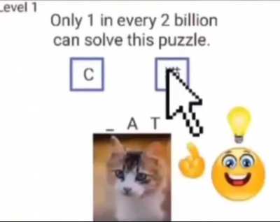 Smart Ass