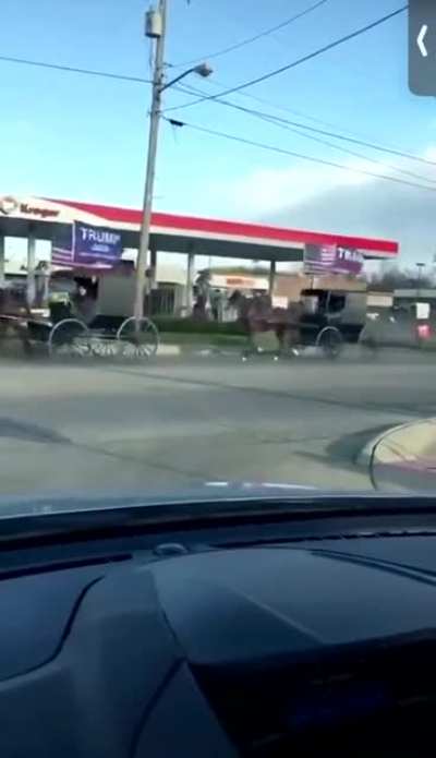 Amish Trump Train