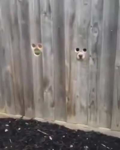 They&rsquo;re watching you