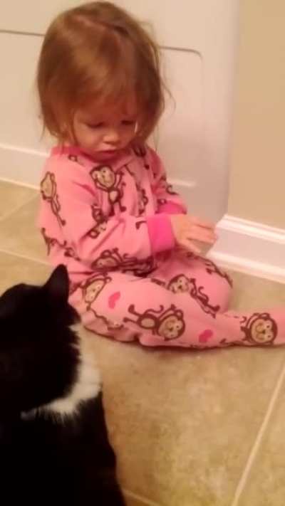 kitty kitty