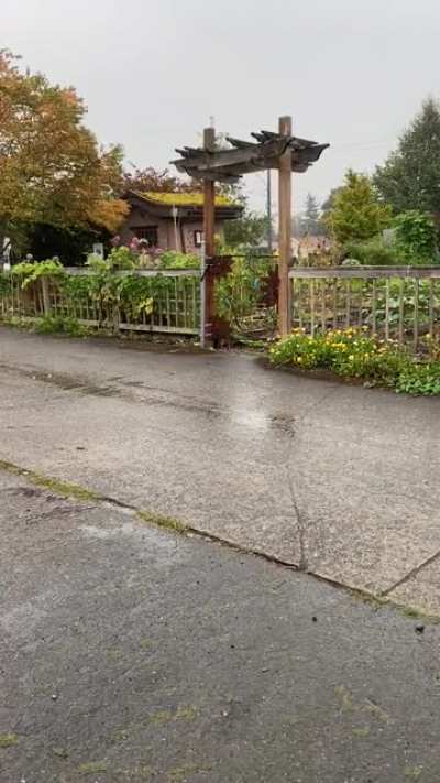 It&rsquo;s finally raining in Seattle! Smells like a wet cigarette from all the smoke, but it&rsquo;s raining!!