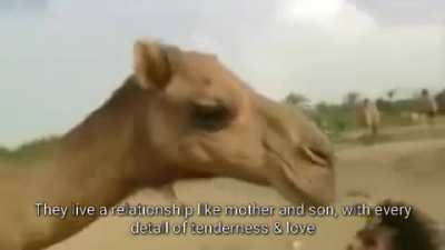 سبحان الله