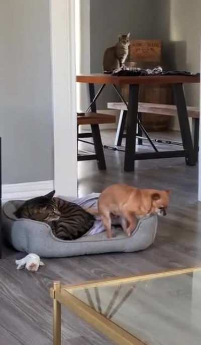 I&rsquo;m just gonna settle in right here&hellip;