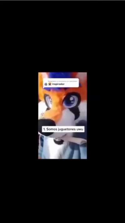 Xd